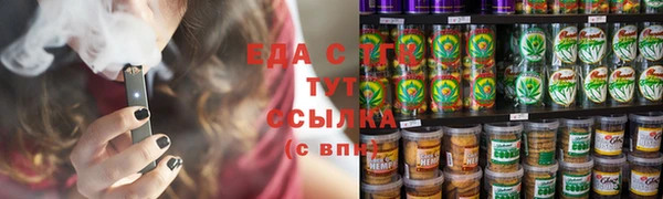 гашик Гусь-Хрустальный