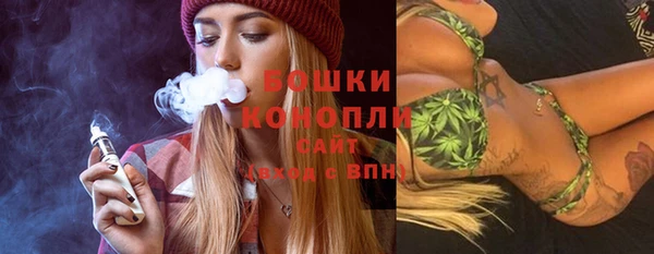гашик Гусь-Хрустальный