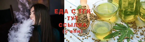 гашик Гусь-Хрустальный