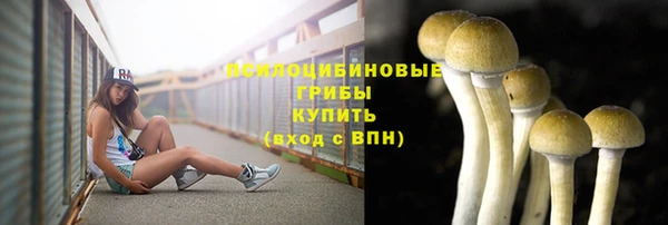 мдпв Гусиноозёрск