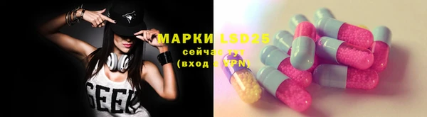 гашик Гусь-Хрустальный