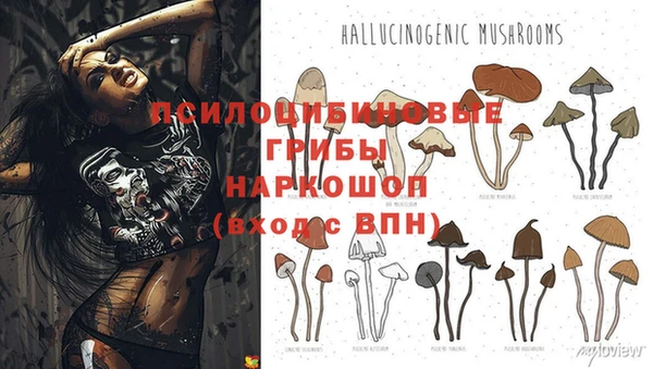 mix Гусев
