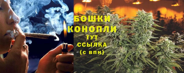 мдпв Гусиноозёрск