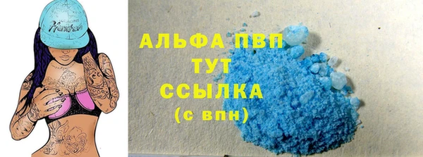 гашик Гусь-Хрустальный