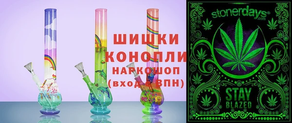 гашик Гусь-Хрустальный