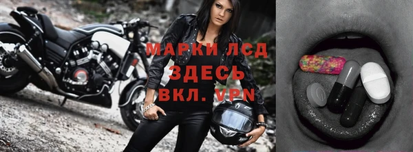 гашик Гусь-Хрустальный