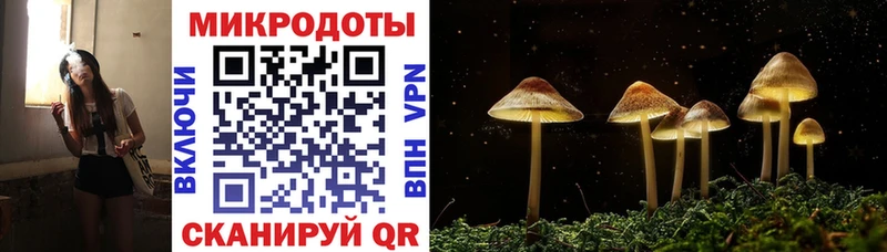Псилоцибиновые грибы MAGIC MUSHROOMS  Купить  Ивдель 